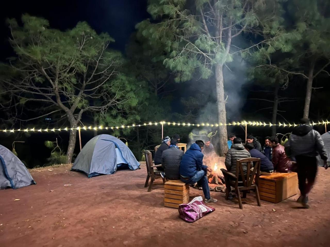 Hotel Tribe View - Away From City Hustle !! Top Rated & Most Awarded Property !! A Peaceful Stay Kasauli Kültér fotó